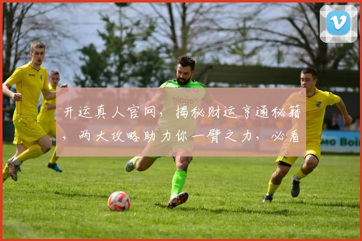 开运真人官网，揭秘财运亨通秘籍，两大攻略助力你一臂之力，必看