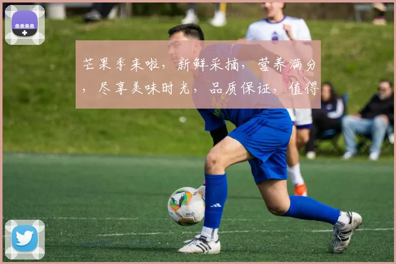 芒果季来啦，新鲜采摘，营养满分，尽享美味时光，品质保证，值得购买，抢购不停