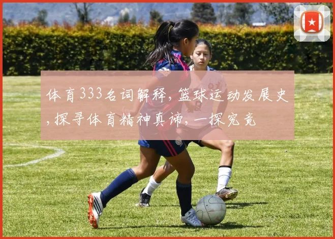 体育333名词解释,篮球运动发展史,探寻体育精神真谛,一探究竟